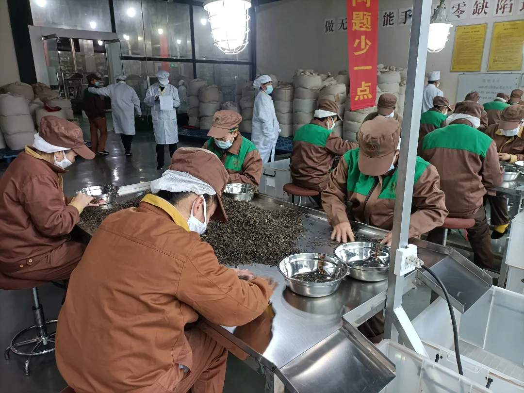 精益求精·鑄造品質(zhì)|六大茶山第十四屆技術(shù)大比武圓滿完成