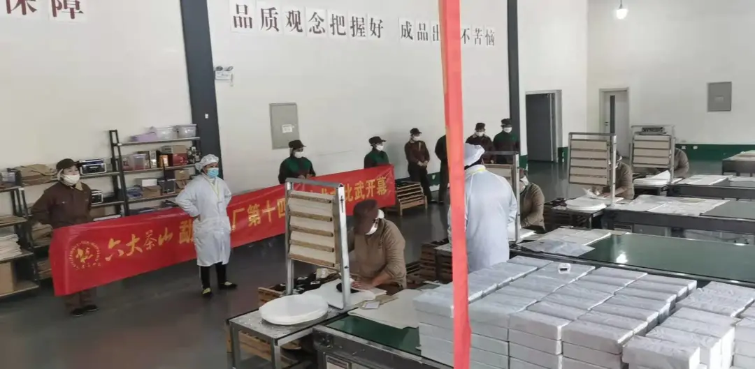精益求精·鑄造品質(zhì)|六大茶山第十四屆技術(shù)大比武圓滿完成