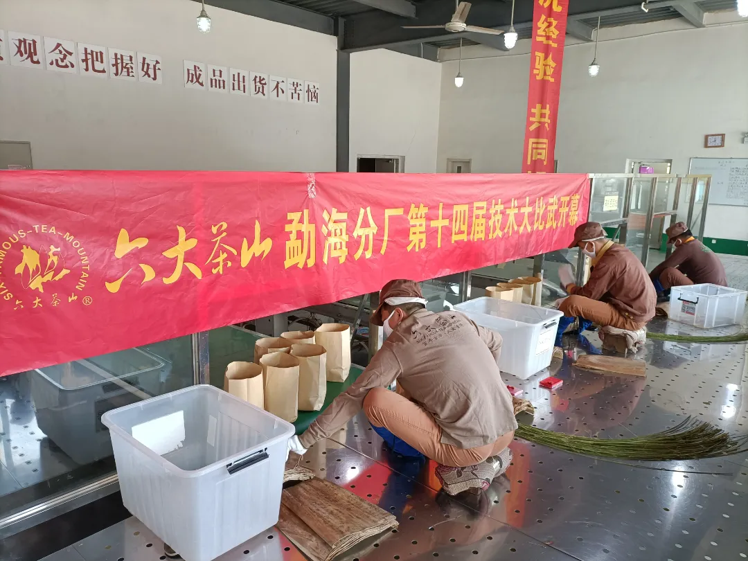精益求精·鑄造品質(zhì)|六大茶山第十四屆技術(shù)大比武圓滿完成